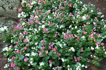 Beetgestaltung nach Ihren Wünchschen und Ansprüchen