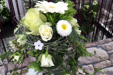 Feine Gegstecke von Premium Gärtnerei Böttcher