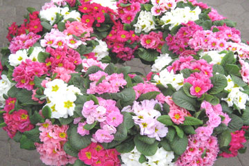 Trauerkränze als geschmackvolle Dekoration